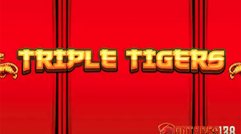 Tips Bermain Seperti Pro dan Menang Terus Game Triple Tigers